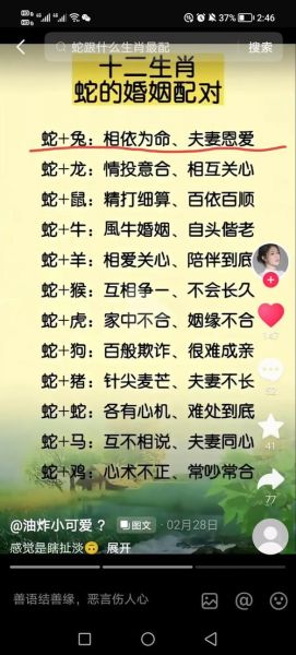 蛇属相不合的生肖（蛇和什么属相不合最准答案）