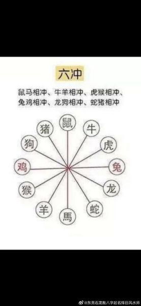 鼠生肖属相相合相冲（鼠生肖和哪些属相相冲）