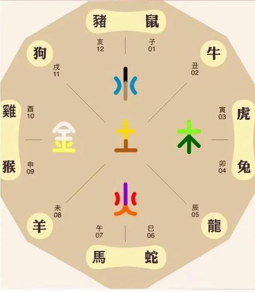 算命属什么生肖属相最好（算命生肖属相哪个最好最旺）