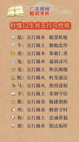 24什么生肖属相（2024年出生属什么生肖？一文秒懂）