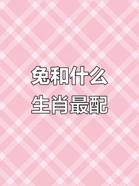 生肖兔的最佳属相婚配（生肖兔最佳婚配属相排行榜）
