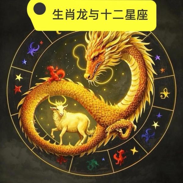 龙生肖什么属相好（龙生肖选什么属相更旺运？这3组速查）