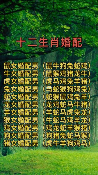 思爱夫妻生肖属相（思爱夫妻生肖属相配对表）