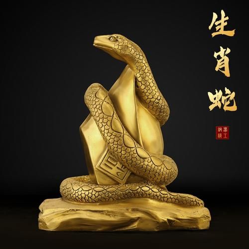 属蛇什么生肖属相（属蛇的生肖是什么）
