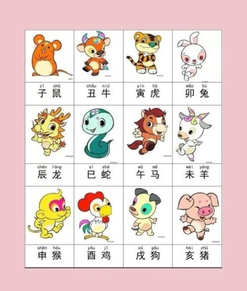 属相相害是啥生肖（属相相害是什么生肖 🐭🐯）