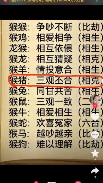 生肖猴与哪个属相不合（生肖猴和哪些生肖不合？新手避坑指南）