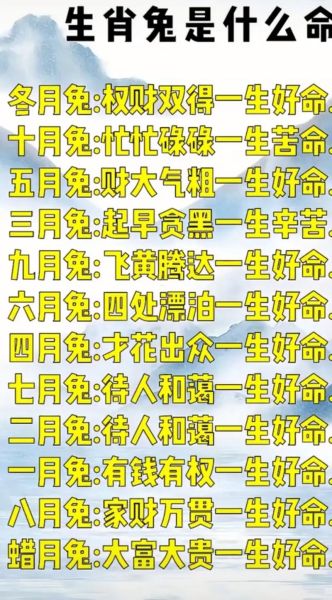 选房子生肖属相（属兔买房最佳楼层风水解析）