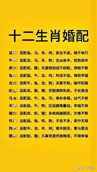 主人解释生肖属相（主人解释生肖属相怎么算🐭🐮🐯）