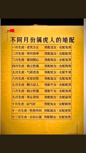 龙虎生肖不合的属相女人（龙虎生肖不合的女性有哪些生肖）