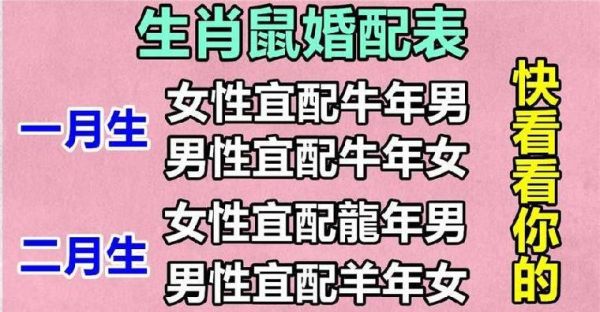生肖鼠配对最好属相（生肖鼠配对最好属相是哪几个）