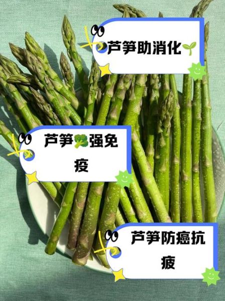 芦笋属何生肖属相（芦笋属何生肖属相？新手一问到底）