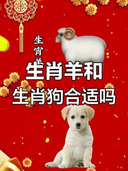 羊配什么生肖属相（羊和什么属相最配）