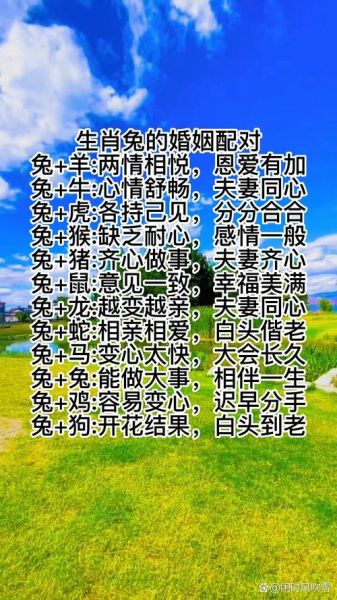 生肖免和各属相（属兔与各属相婚配表查询）