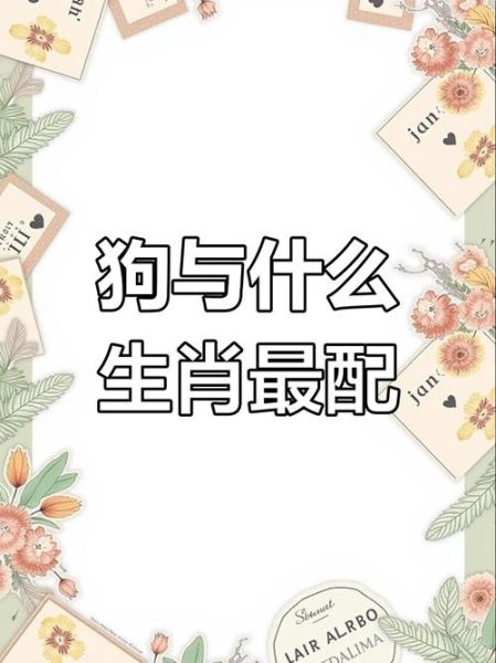 哪些属相喜欢生肖狗（生肖狗的最佳生肖配对是谁？答案）