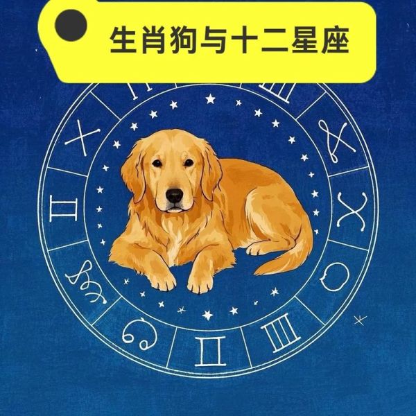 生肖狗最爱的属相（生肖狗最爱的属相及3大相处秘笈）