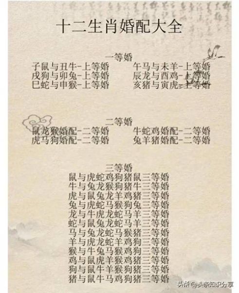 适合夫妻生肖的属相（夫妻生肖配对最佳表）