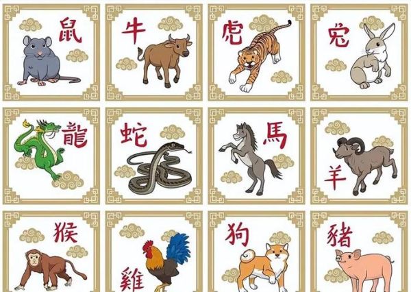 求子属什么生肖属相