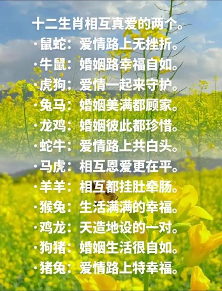 生肖属相合不合查询（生肖鼠和牛合不合婚姻匹配度查询）