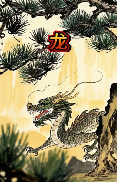 龙属相下面是什么生肖（龙年下一生肖是什么）