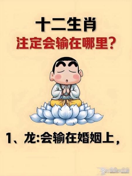 顽石最佳生肖属相（顽石最佳生肖属相是龙）