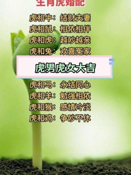 女虎生肖婚姻配偶属相（女虎最配婚配属相大全）