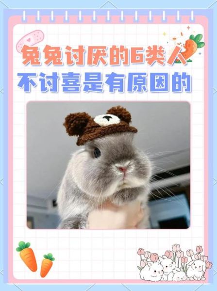 生肖兔讨厌啥属相的人(生肖兔最讨厌哪个属相)