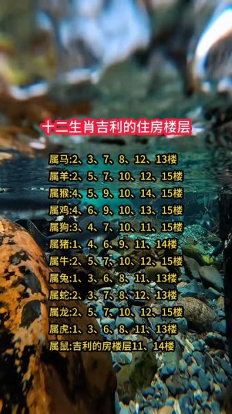 生肖属相与楼层(12生肖买房最佳楼层选择)