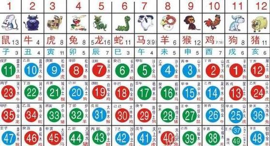 生肖属相分真假吗（生肖属相分真假吗到底怎么看）