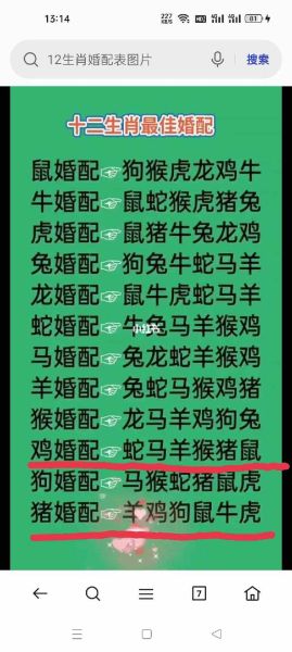 生肖猪的属相婚配表查询(生肖猪最佳婚配属相Top5速查)