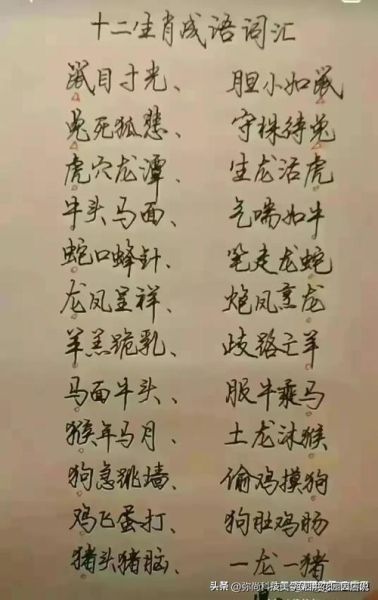 十二生肖属相昵称（十二生肖个性微信昵称大全）