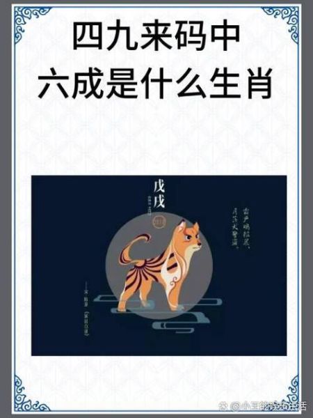 生肖中鸡与猪属相合不合(生肖鸡与猪合不合?新手超白话版配对指南)