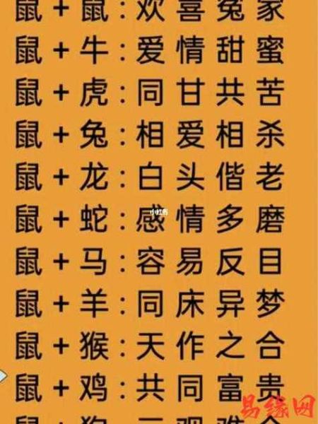 生肖鼠婚姻什么属相配（生肖鼠婚姻什么属相配？最旺是谁👀）