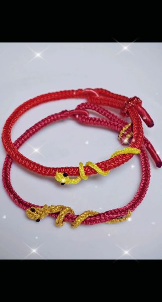 生肖猪红绳戴什么属相（生肖猪2024红绳佩戴禁忌属相）