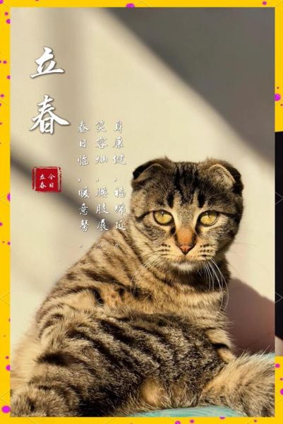 虎年立春属相是什么生肖(虎年立春属相是什么生肖?)