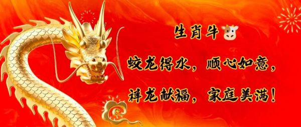 过年是什么生肖属相的（2024过年生肖是什么）