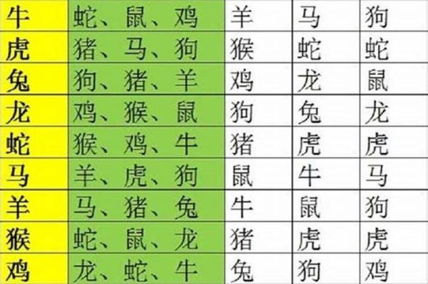 生肖蛇和什么属相合伙(生肖蛇的最佳合伙属相)