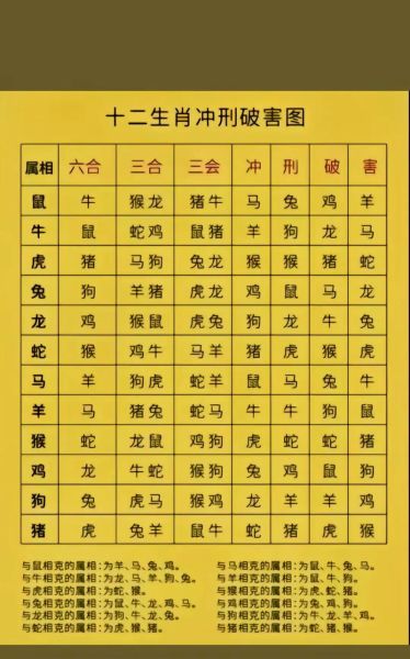 4属相是什么生肖(4属相是什么生肖?答案在这)