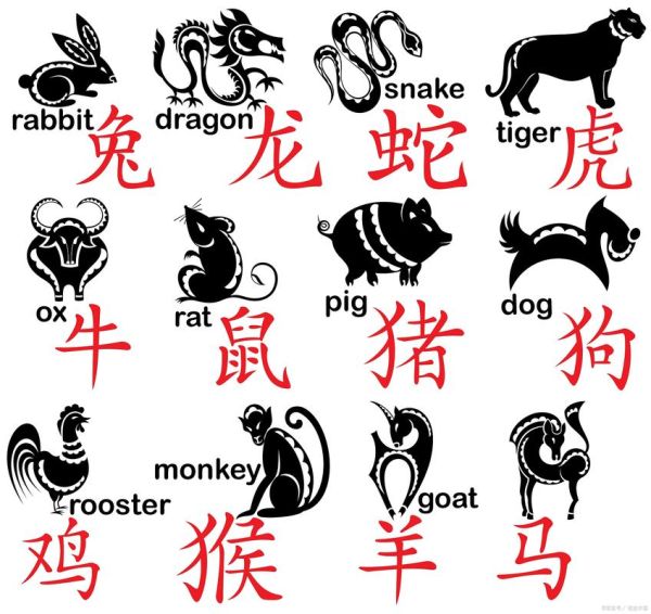 飞猫属什么生肖属相（飞猫属什么生肖？最通俗解读来了）