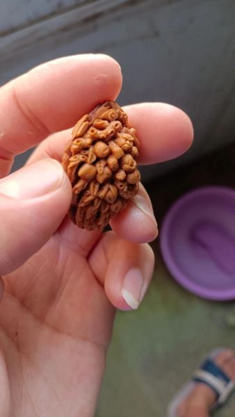 桃核雕刻生肖属相（桃核雕刻生肖属相教程）