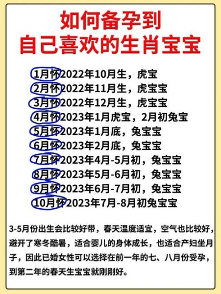 兔宝宝 父母生肖属相（兔宝宝父母生肖相冲怎么办？🐰🆎）