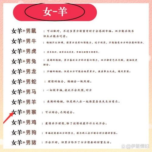 什么叫属相生肖（什么叫属相生肖？小白版全解）