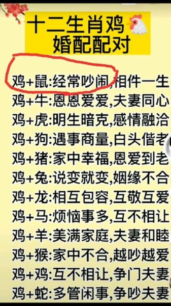 生肖不合不能婚配的属相(生肖不合的属相有哪些?)