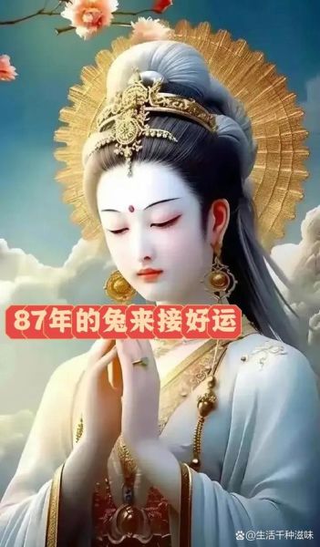 87属相什么生肖（87年属什么生肖？🐯属兔人的运势科普）