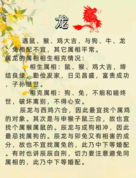 生肖马狗孩子属相（属马和属狗能生属虎的孩子吗👶）