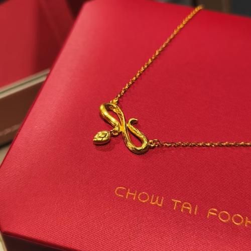 黄金蛇生肖属相项链（黄金蛇生肖属相项链女款纯金）