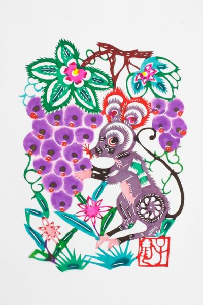 赵依依属什么生肖属相