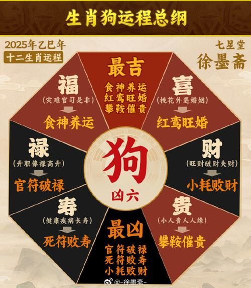 属相狗的富贵生肖（属相狗的富贵生肖搭档是谁）