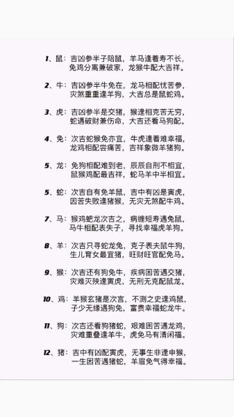 属相到底划分什么生肖呢（属相到底哪天换生肖呢）