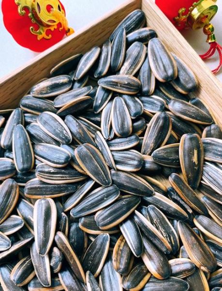 瓜籽属哪个生肖属相最好（瓜籽属哪个生肖吃最旺）