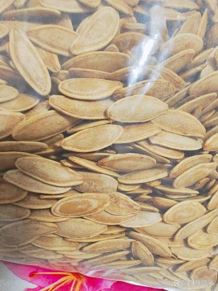 瓜籽属哪个生肖属相最好（瓜籽属哪个生肖吃最旺）